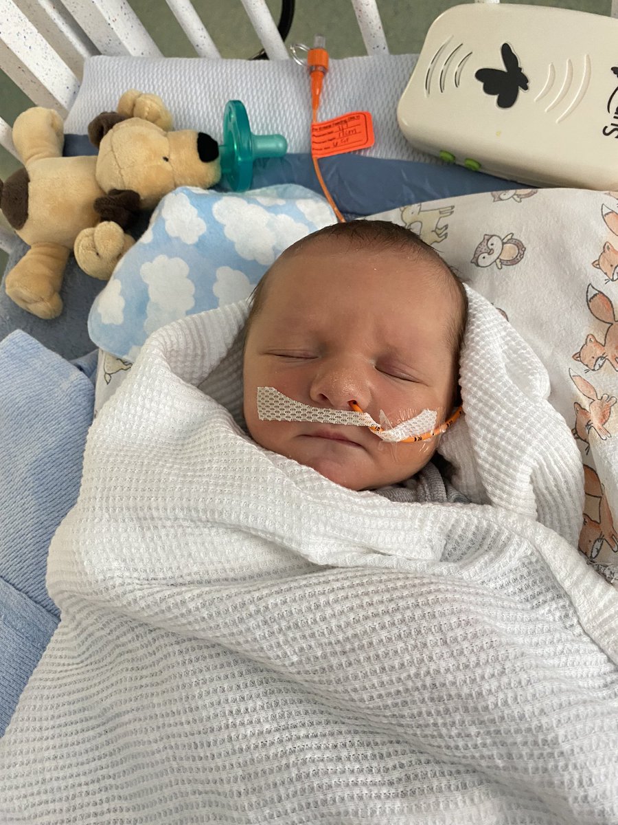zeroskillz's tweet photo. Axel is doing great. Might get to come home tomorrow🤞 https://t.co/RvUsRawQnE