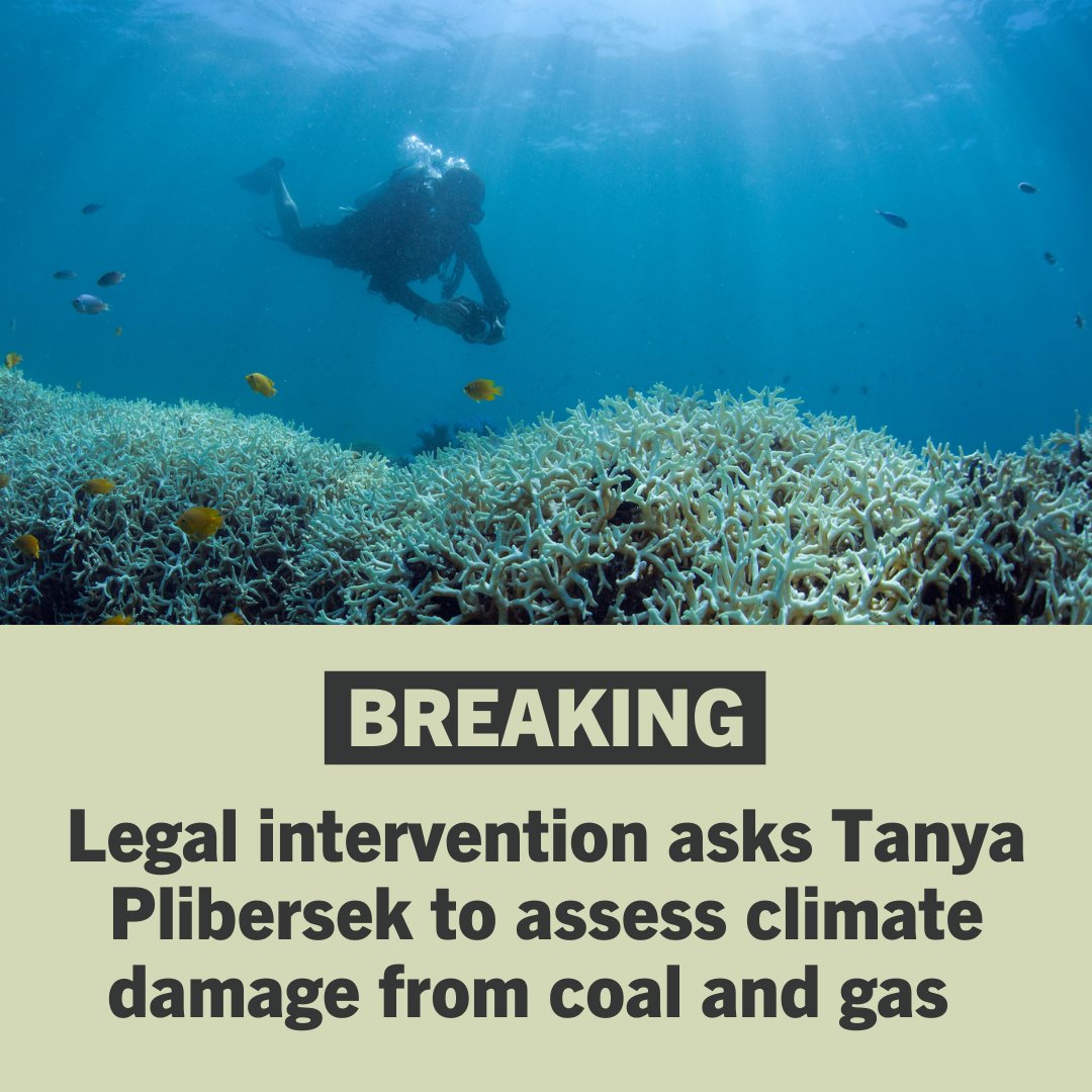 BREAKING: We have just commenced a legal intervention requesting Environment Minister Tanya Plibersek listen to climate science – and act. See the evidence and learn more: livingwonders.org.au #BeforeItsGone #LivingWonders <a href="/EJ_Aus/">Environmental Justice Australia</a>
