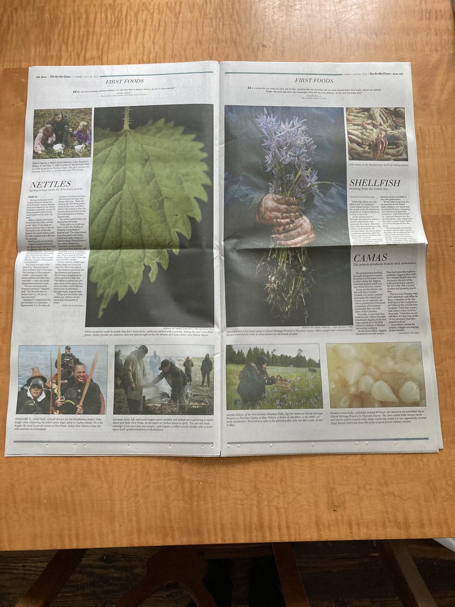 Bettina Hansen tweet media