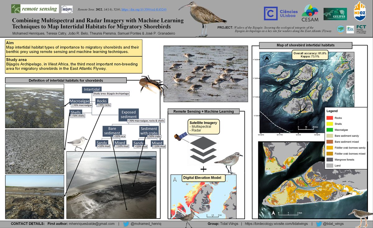 Intertidal flats are among the most challenging environments to map using satellite images. We did just that in our new <a href="/RemoteSens_MDPI/">Remote Sensing MDPI</a> paper doi.org/10.3390/rs1414…. Check out a graphical summary with the highlights of this study, a chapter of the PhD thesis of <a href="/mohamed_henriq/">Mohamed Henriques</a>