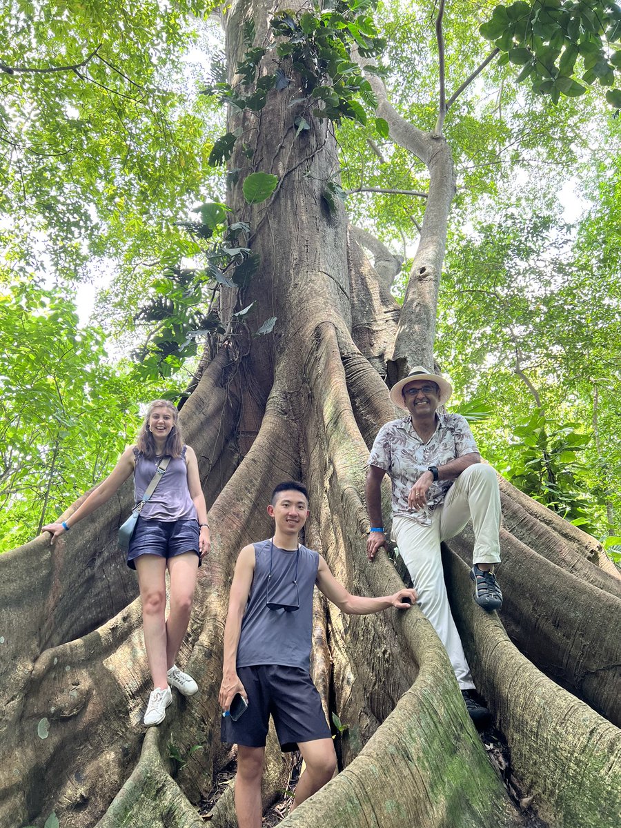 Second day in Colombia before #ATBC2022, and a visit to Cartagena Botanical Garden to sample a small but lovely slice of Caribbean coastal rainforest. Nice to immerse in its lush green complexity again!