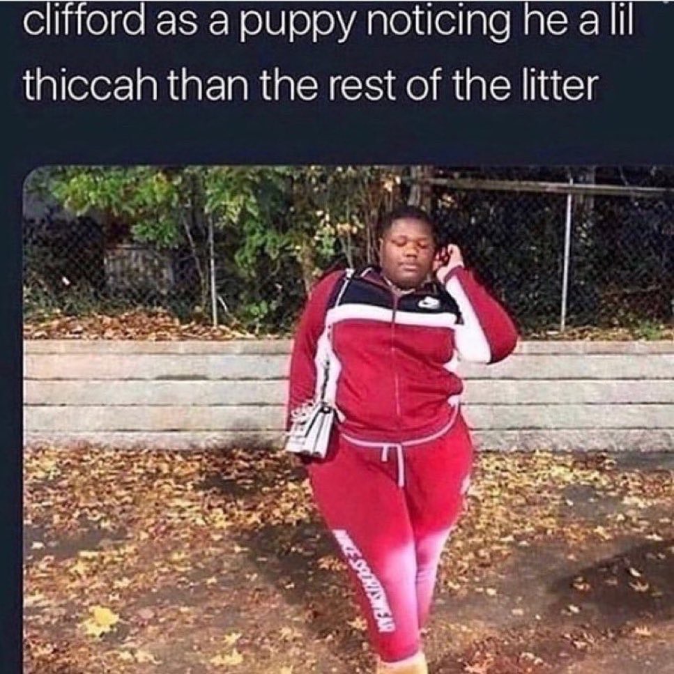 tmoney_presa's tweet photo. a lil thiccah than the rest of the litter https://t.co/CjZXA80ilv