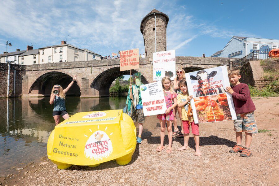 SaveTheWye's tweet photo. #Crappyeggs Angela Jones at #WYEJULY calling out the pollution of the River Wye.
Our river is being killed by runoff from the proliferation of intensive poultry units in our region.
#2yearstosavethewye #savethewye
📷 credit: DrabbleandCo https://t.co/NiruUqSTmE