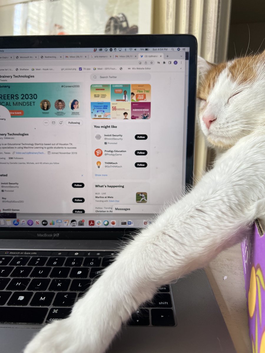 Ghazal_STEAM's tweet photo. Sunday Workday! Percy is trying to help me plan for our upcoming #medicalmindset #Careers2030 webinar. He has some ideas on veterinary health pathways that middle and school students should plan to explore in order to gain early skills. What do you think? https://t.co/RaPKph9OAY