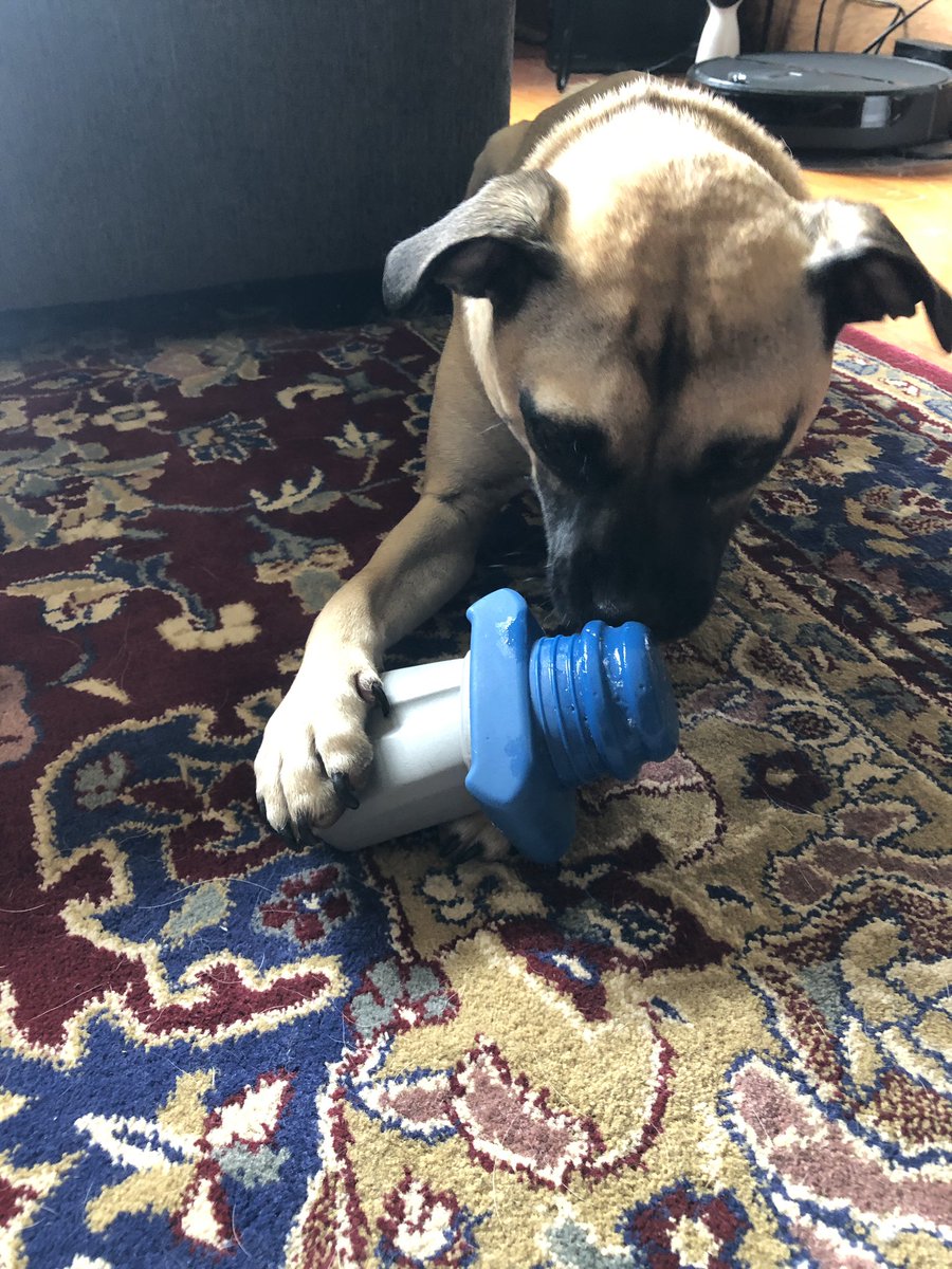 This is Charlie with a small sword.
- Charlie says get to the gig early and catch our homies in Big Sword opening the show at 6pm sharp.