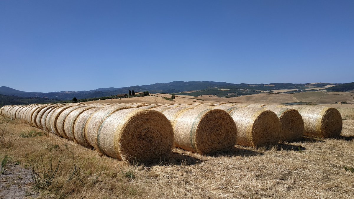 Amiatavideo's tweet photo. Il fascino delle #rotoballe solitarie sotto il #sole #Toscana #tuscany #amiatavideo https://t.co/zWXmcAuM4E