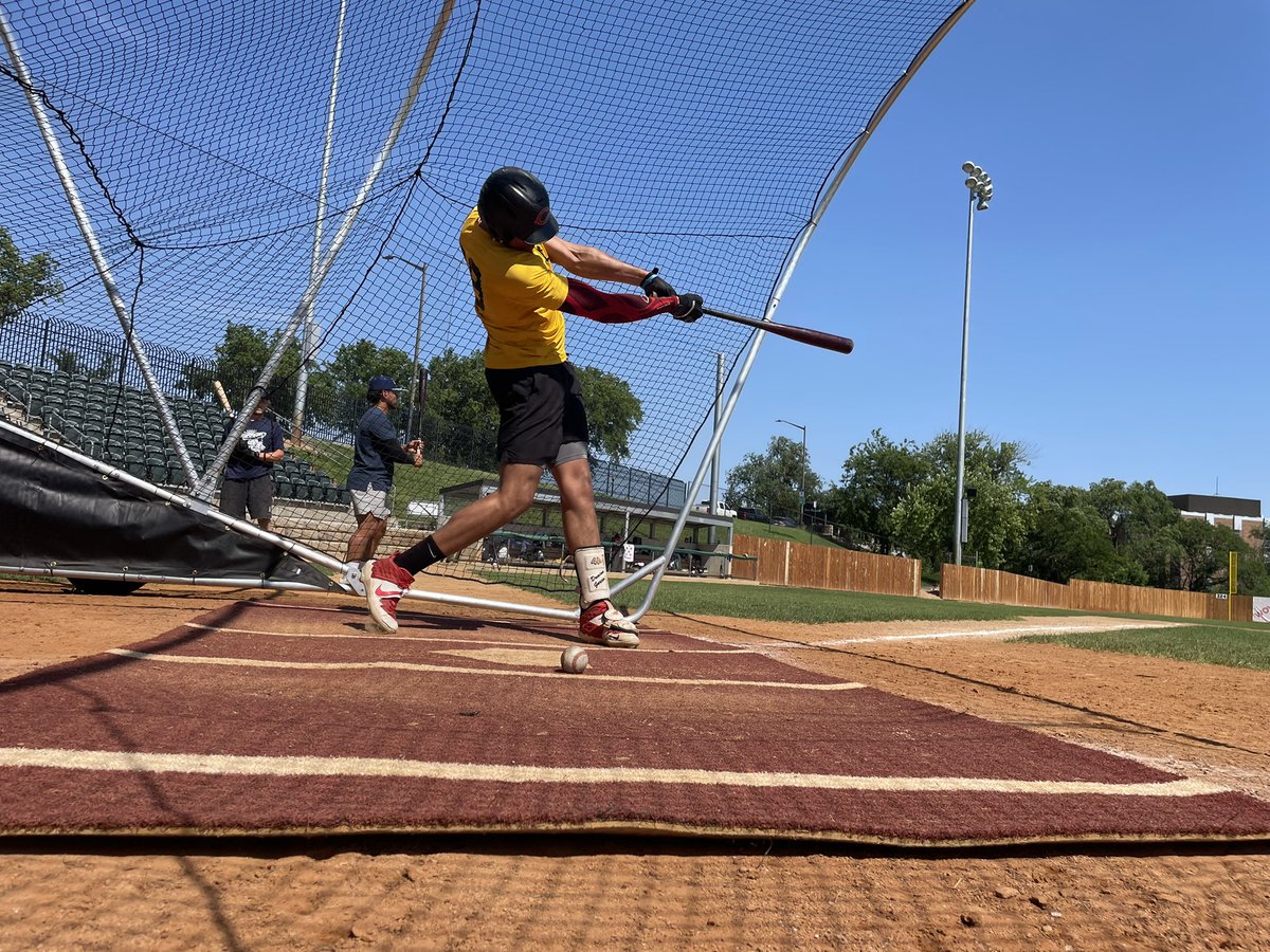 Sabre Dogs tweet media