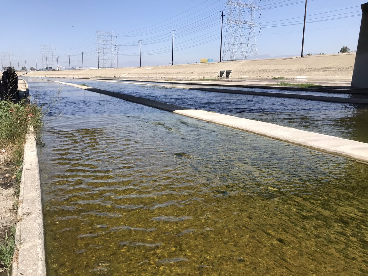 woodstiff's tweet photo. Democrats organize, vote, &amp; work with our communities solving issues. Democrats from around the State spend time at @CA_Dem EBOARD working with #TeamRendon and community leaders doing some cleanup up of the LA River. It’s always more than just voting! #WeAreCA #Dem2022 https://t.co/GpZScKpPkd