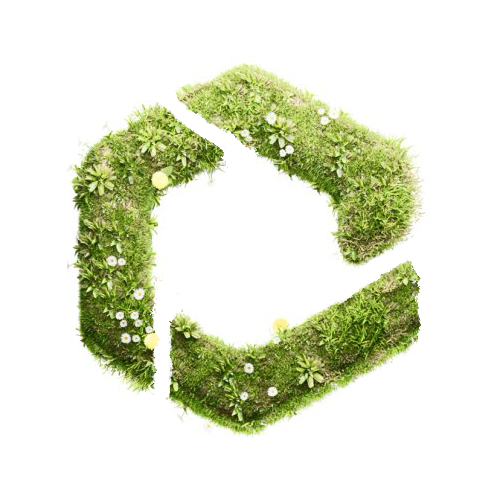 NFTevening's tweet photo. Just changed our avatar to support #PolygonIsGreen movement from @0xPolygon ! 💚💚💚 https://t.co/lVl7YIr39e