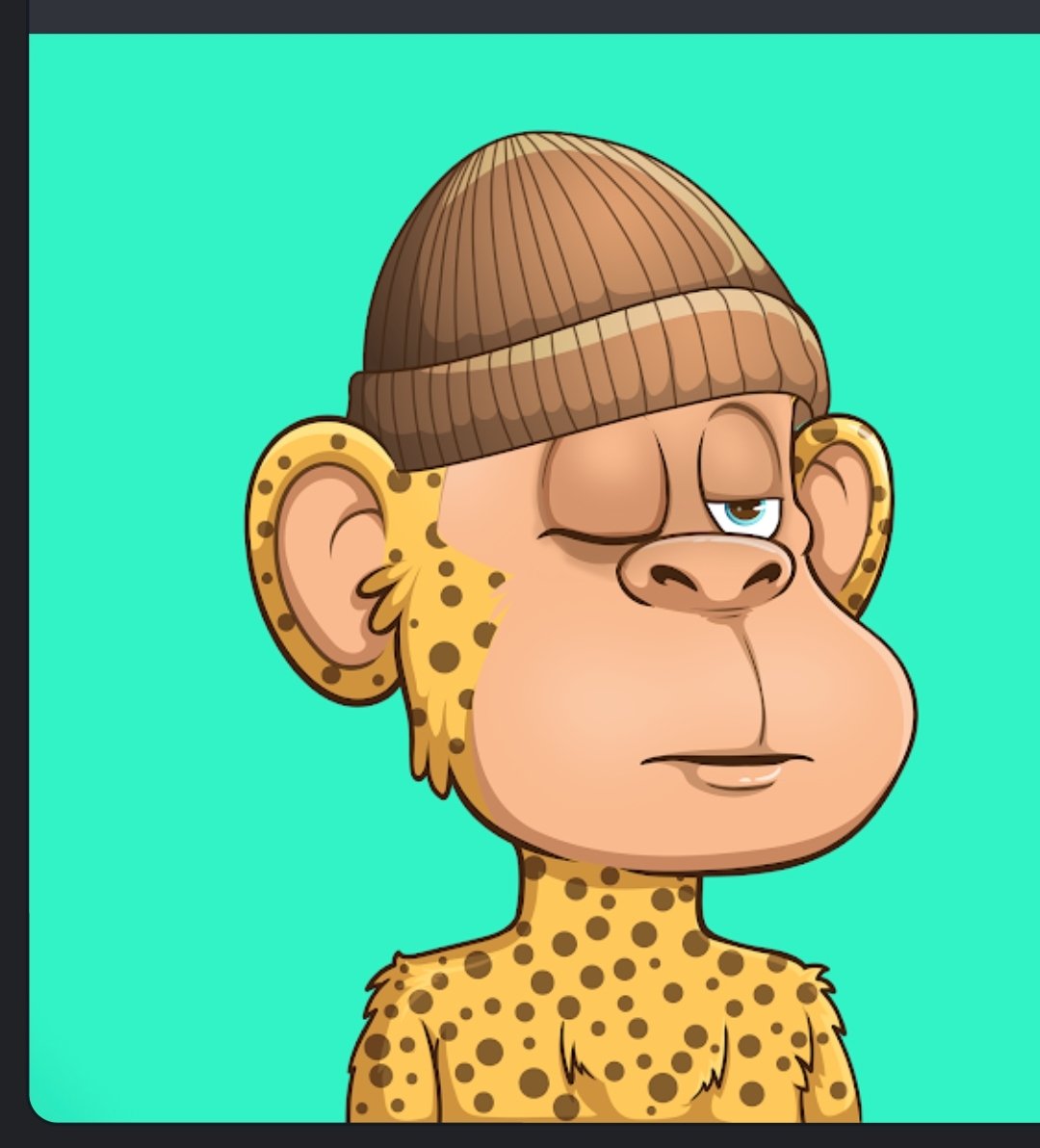 Koj24688009's tweet photo. The best ever Ape NFTs #BANDEX #BTFA https://t.co/pyq1I2lrM8