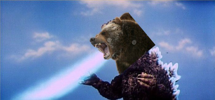 David_Tracey's tweet photo. I’m on team bear this week until further notice. #bearzilla Sorry bulls. https://t.co/0n86DUtXIv
