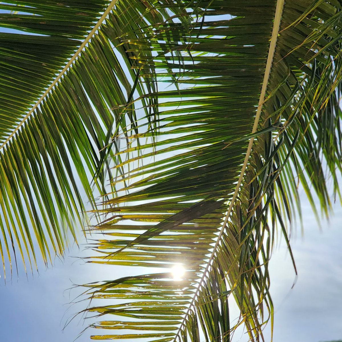 AinoniaC's tweet photo. Forever in #Paradise https://t.co/jmuCcKvNcW