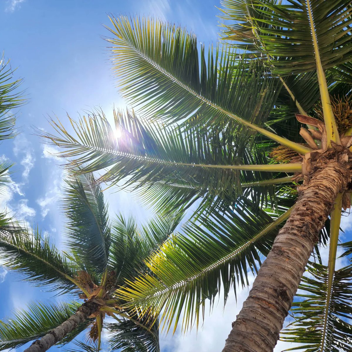 AinoniaC's tweet photo. Forever in #Paradise https://t.co/jmuCcKvNcW