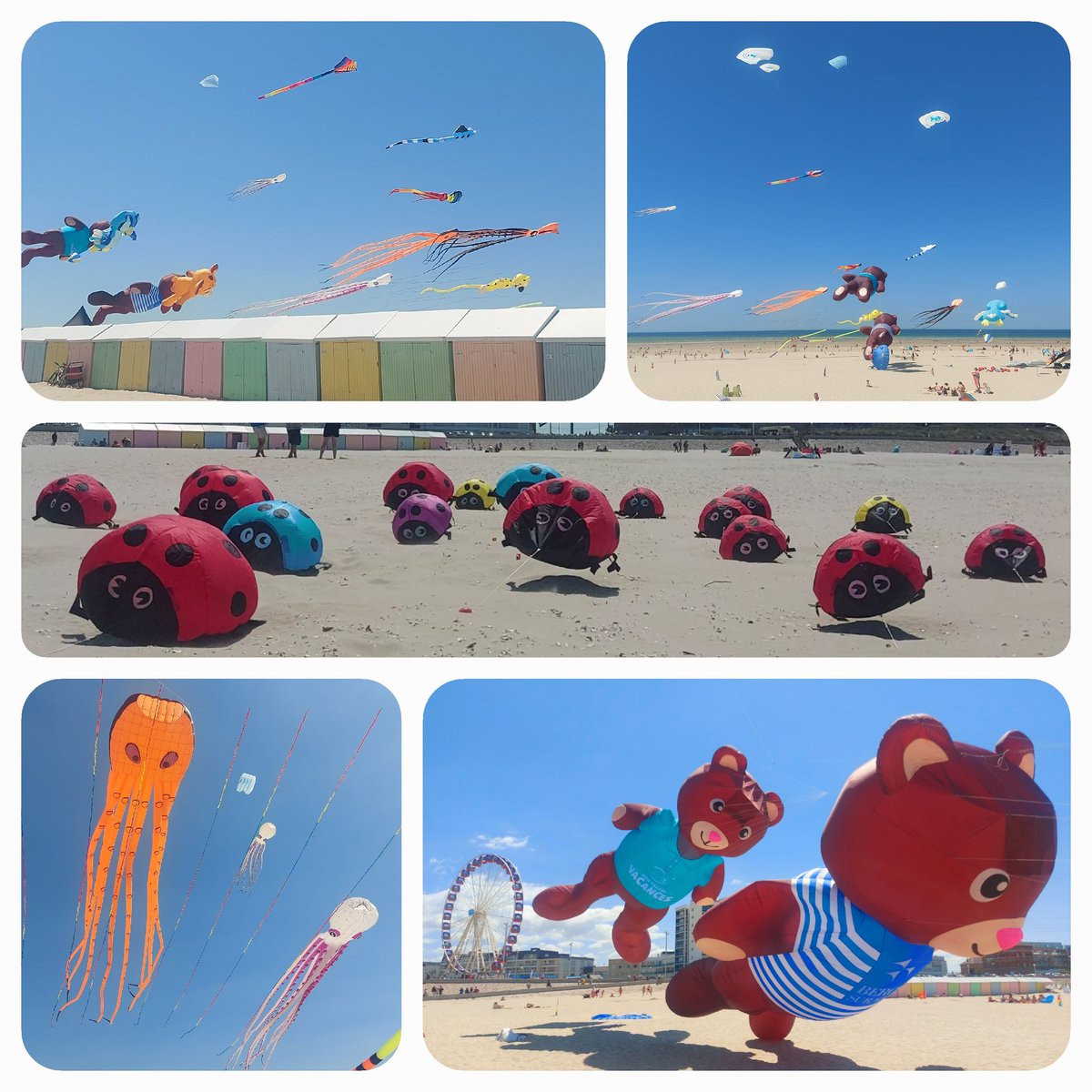 BercKite's tweet image. 