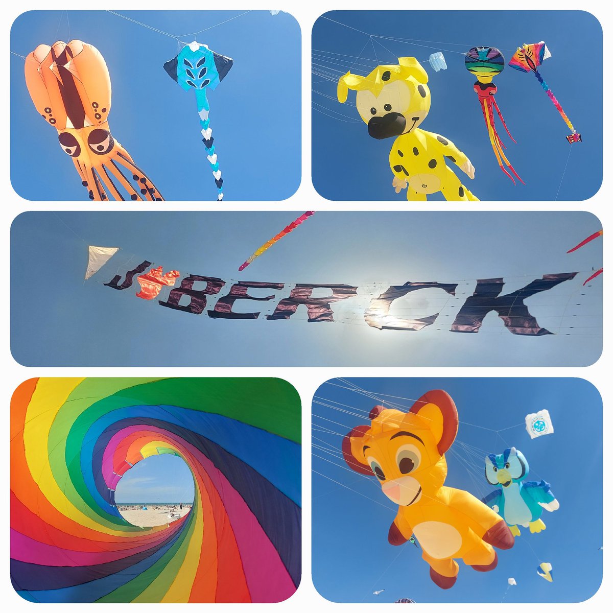 BercKite's tweet image. 