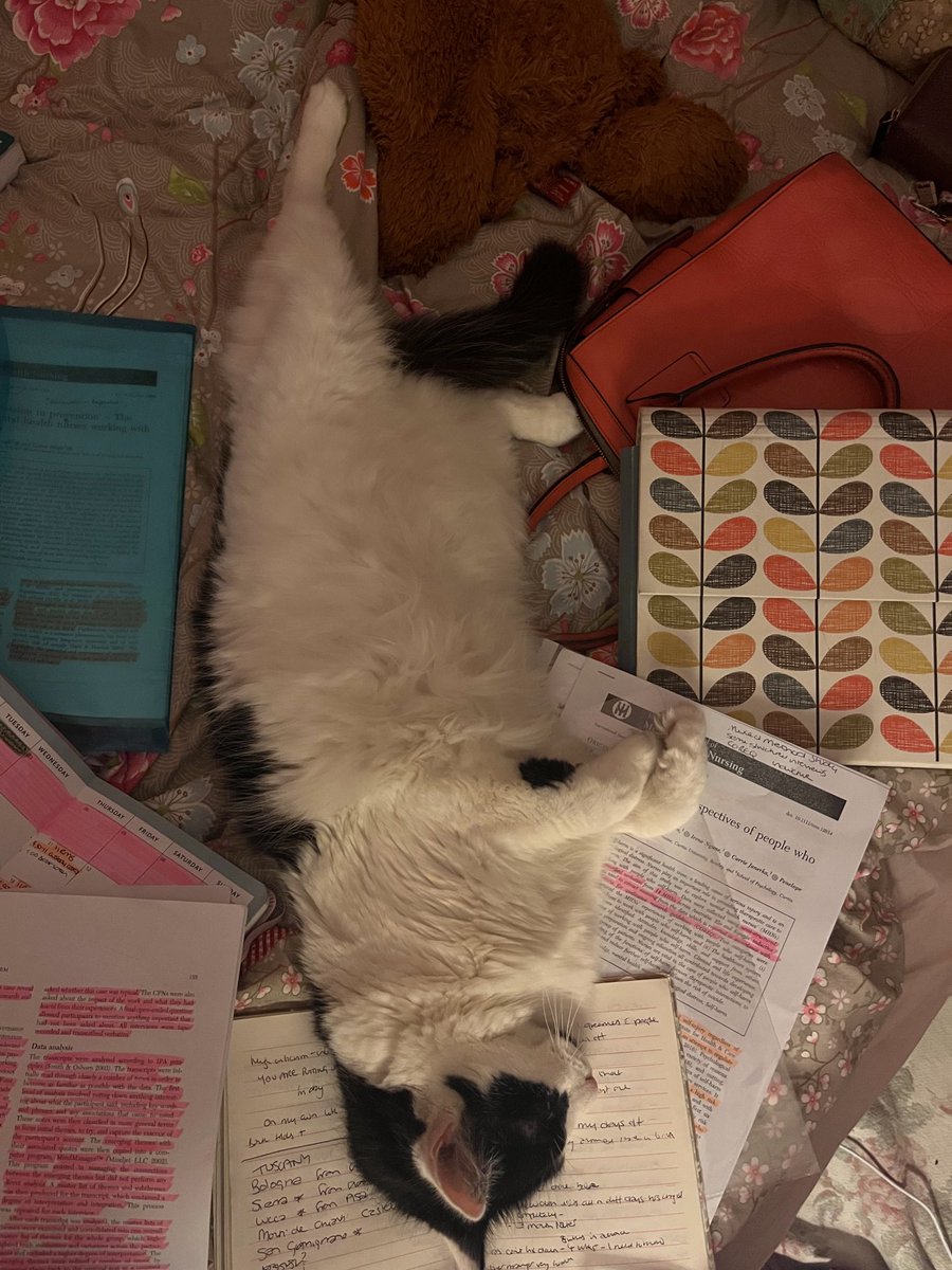 Murphlemurph's tweet photo. Trying to study but my cat appears to be telling me itโs bedtime.
#RulerOfTheRoost #OTMasters #ResearchMethods #OccupationalTherapy #Cats https://t.co/79tbbQKHD1