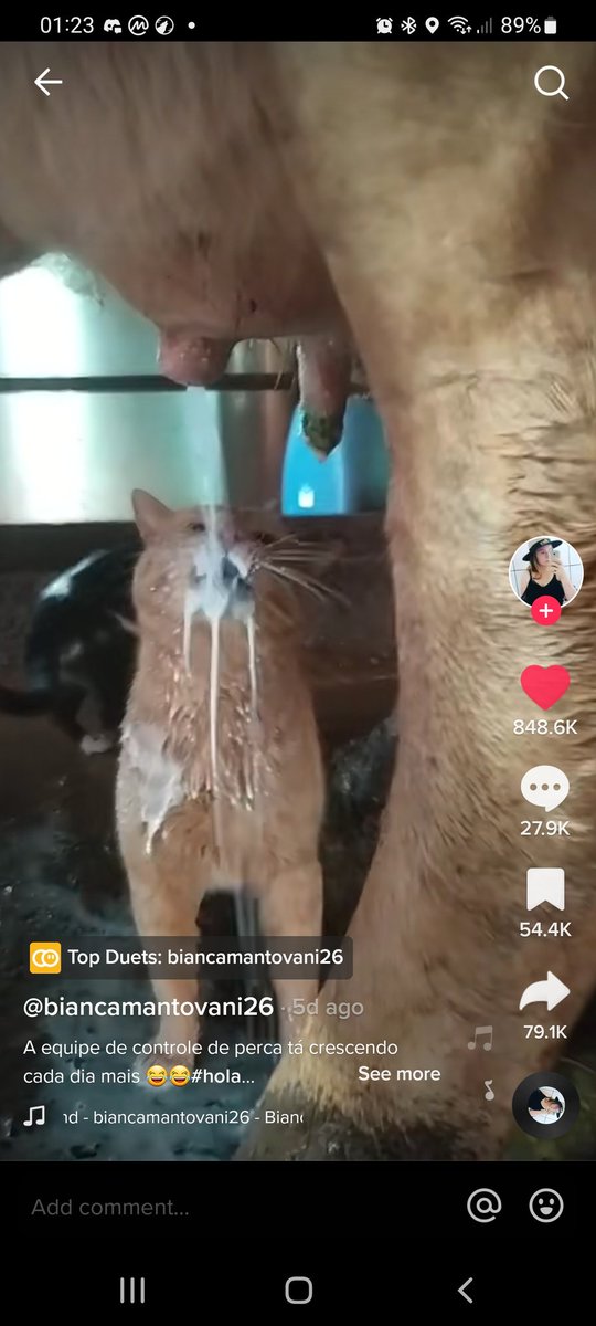 femtoneko's tweet photo. @PTX_Rygel Wtf is a botrk https://t.co/PXNSRbVVs5