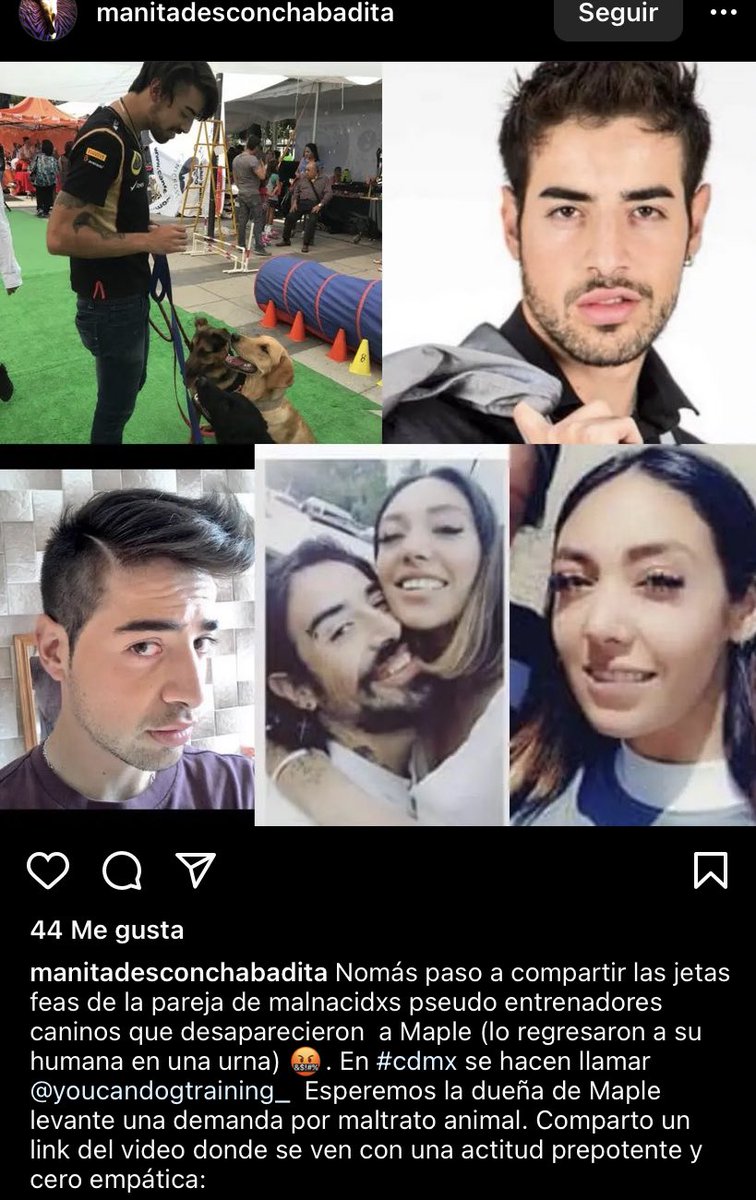 Pushiage's tweet photo. Encuentren a estos asesinos, estafadores y malditos #JusticiaparaMaple #youcandogtraining #AntonioAvilaLopez #ValeriaAlejandraJuarezTorres https://t.co/sStdMI7yhk