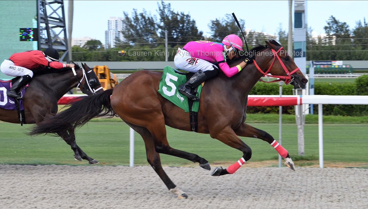 Josemorelos_'s tweet photo. #10Jul Venezuelandreamers and @Josemorelos_ capture race 9 at #GulfstreamPark for trainer Enrique Torres @EtorresRacing 

Thanks and congratulations to owner Davis Borges. 

1️⃣9️⃣th victory for José Morelos #RoyalPalmMeet 2022 
2️⃣ second win this week. 

📸 @coglianesephoto https://t.co/QraipWjdMN