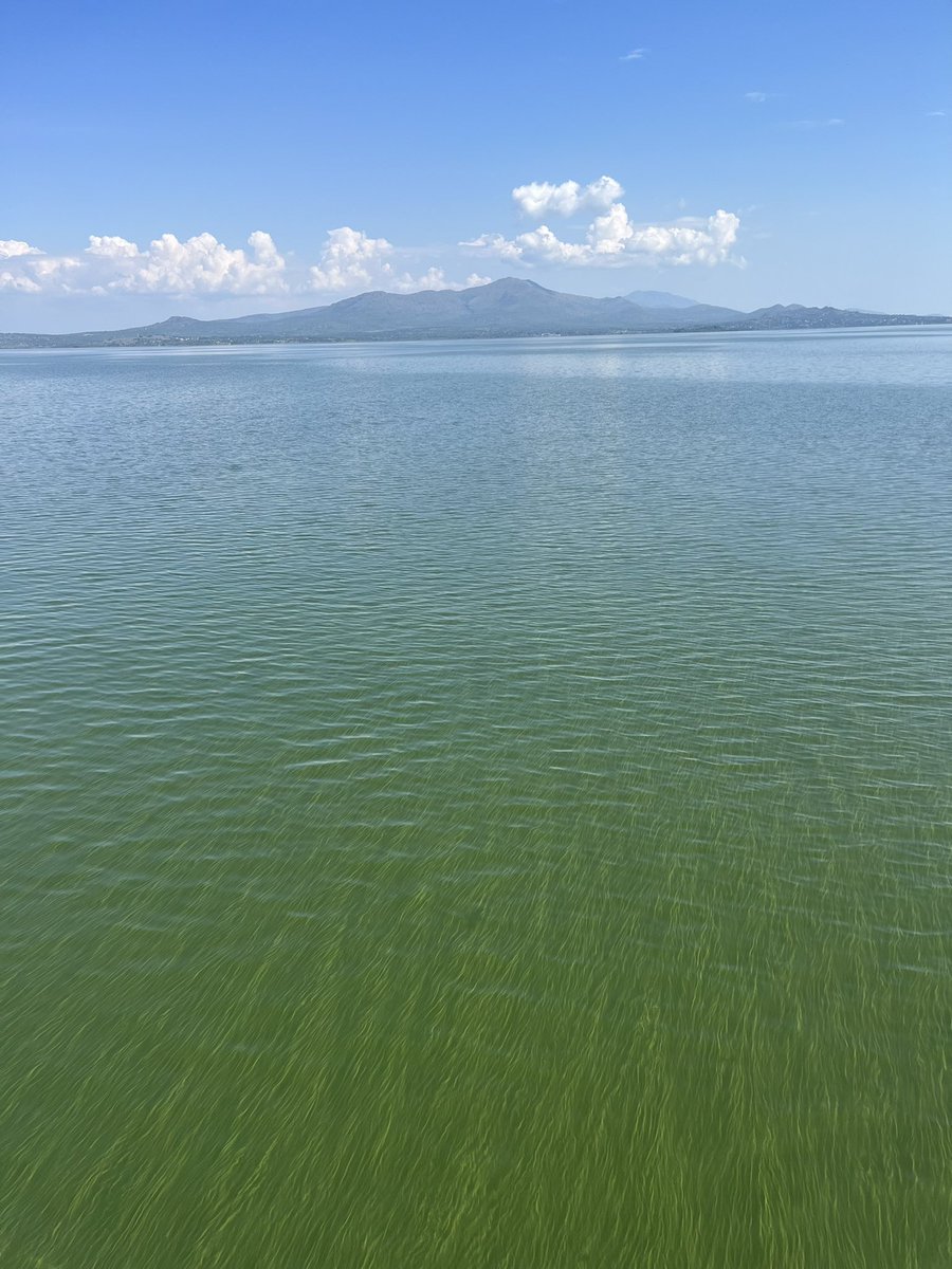 HABsandHABnots's tweet photo. Just returned home from the most incredible 3-week @NSF funded #ASI research experience studying #cyanoHABs in #LakeVictoria. I’m beyond humbled to have represented @GMU_COS @ESPMasonU @PEREC_GMU and the @PhyloTox lab in such a significant project. Stay tuned for more photos! https://t.co/1CQZrZgIok