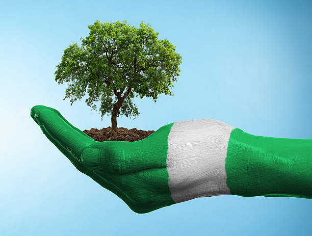iruo_frent's tweet photo. Now is the beginning to the end of an era... Nigerians are so much aware now...
Relax and watch the drift...
It's coming....
#OurCollectiveWill #VoteCredibleCandidates #MyRealityCheck https://t.co/DqvDInJcFa