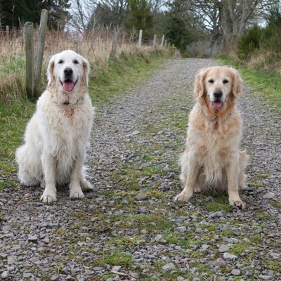 PennyPot999's tweet photo. #NewProfilePic https://t.co/TPt7svdEZA