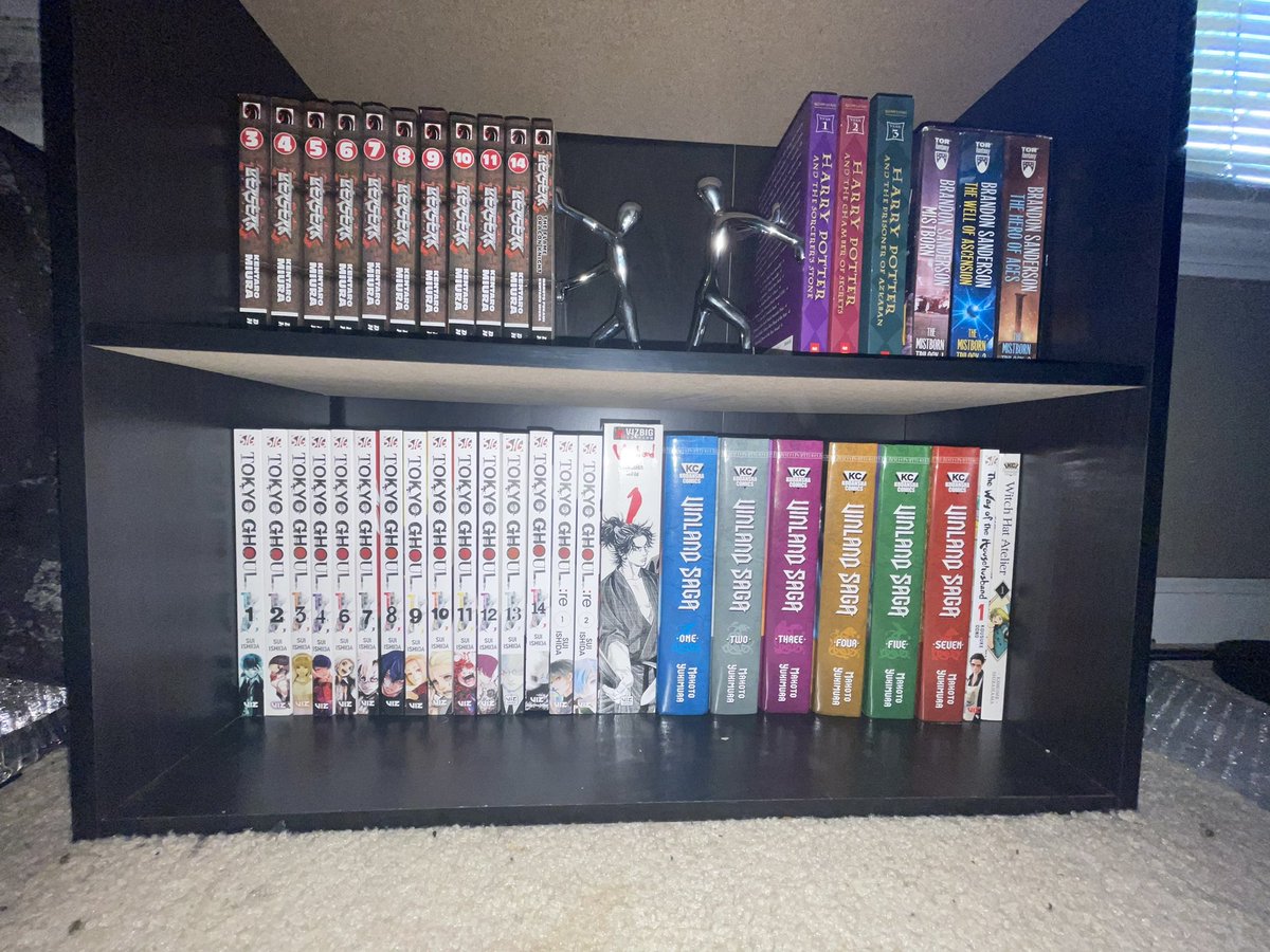 AsuraJambe's tweet photo. My anti-bitches shelves 🛐🗿 https://t.co/jMYJzDVk1w