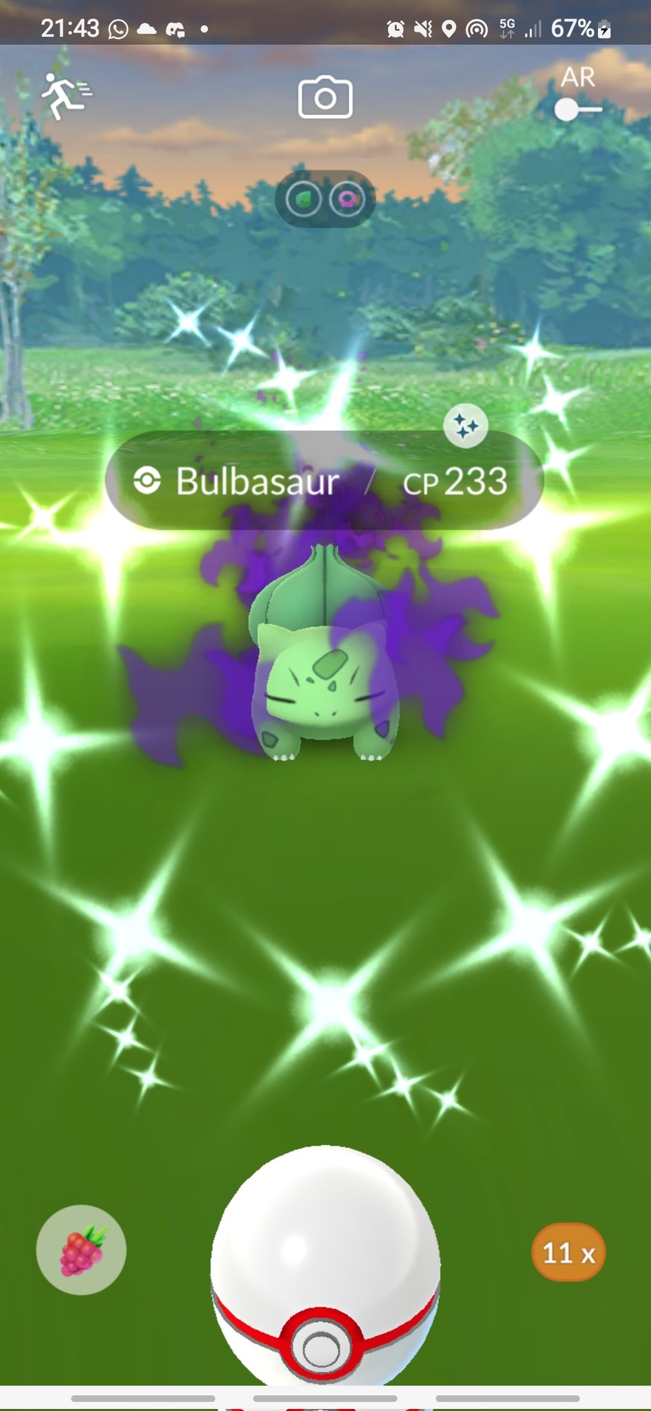 Pokemon Go ✨️ Shiny Bulbasaur ✨️ (Read Description)