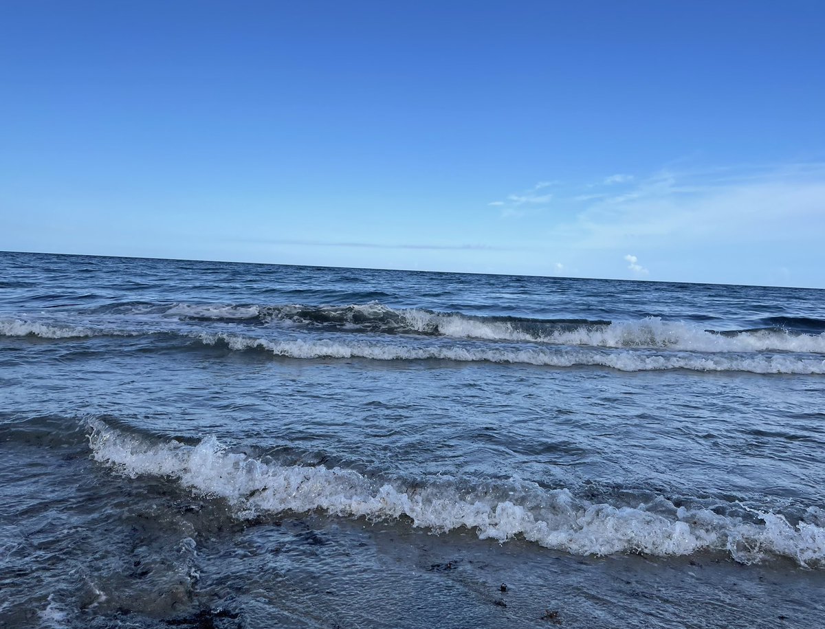 DisciplineBTC 🌎☮️ tweet media