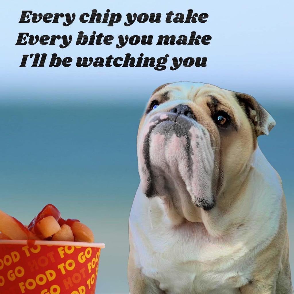 MillynGeorge (@millyngeorge) on Twitter photo 