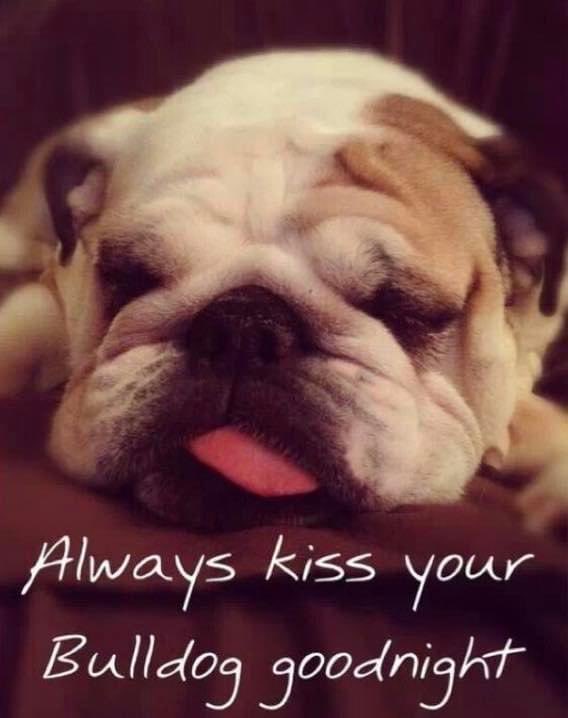 MillynGeorge (@millyngeorge) on Twitter photo 