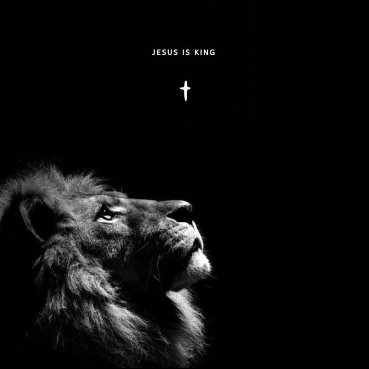lowkeywego's tweet photo. RT If You Believe In Jesus!
#jesus https://t.co/A4LienyIi9