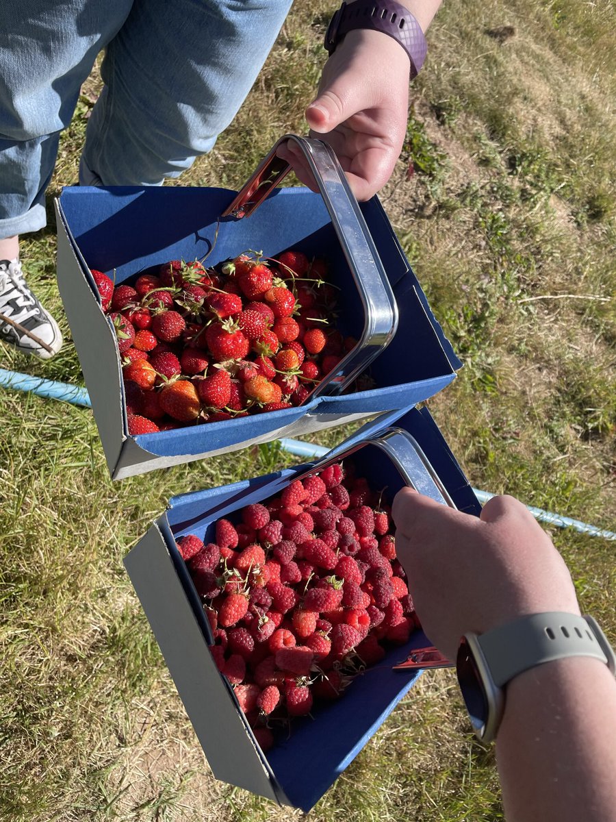 wendywalker74's tweet photo. Fab weekend with friends, gardening, fruit picking and making plans… https://t.co/xLGyJEFfLj