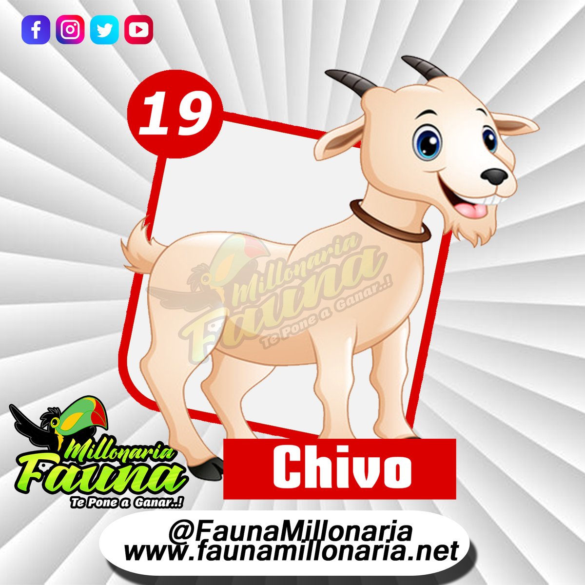 Fauna Millonaria 
Fecha 10/07/2022 
Hora : 6:30 Pm 
19  Chivo
Telegram - t.me/minifauna                    
Web : faunavzla.net