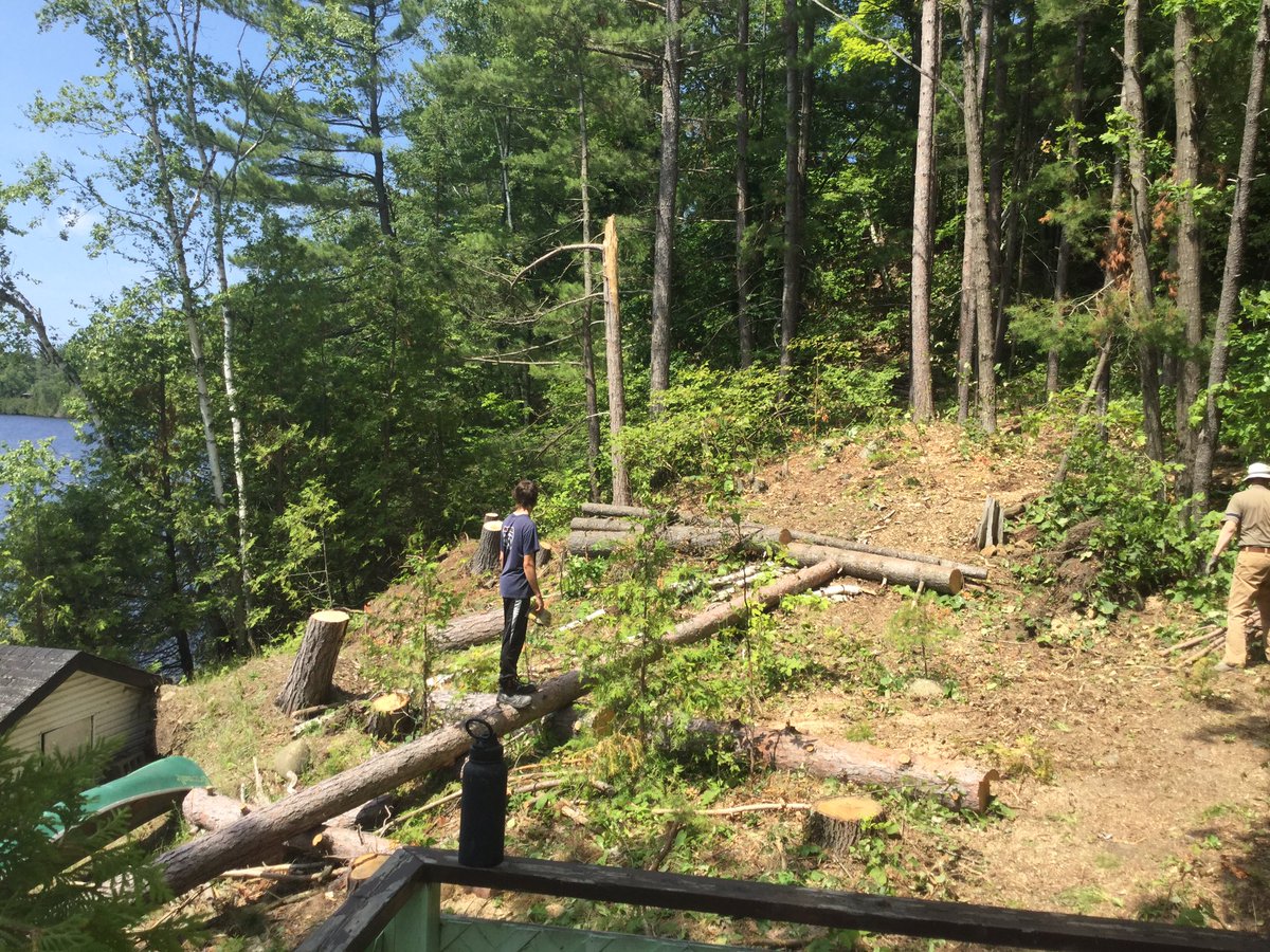 More cleaning up from the Derecho weekend. So much wood. Such a baren spot where all those trees fell from the sky. https://t.co/IHxXRPjT4j