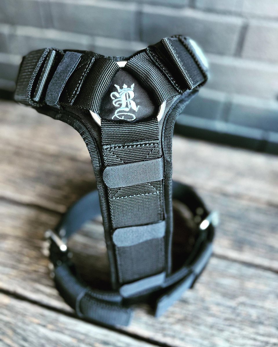 rogueroyalty's tweet photo. Padding is optional with our SupaTuff Heavy Duty dog harness. Check ‘em out 
https://t.co/FZATmEmHbI https://t.co/MGVBV5uCKC
