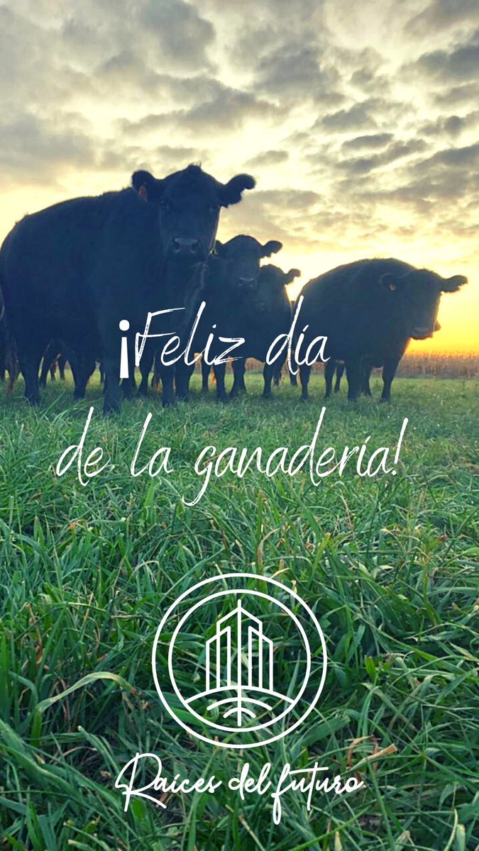 Raíces del Futuro (@raicesdelfuturo) on Twitter photo 