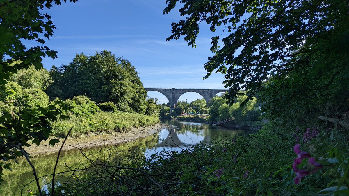 watchman1906's tweet photo. Lovely Sunday 4 mile walk along the #RiverWear, around Fatfield and Coxgreen... even after 9 years of living here, it's hard not to take a photo of Victoria Viaduct, especially on a summer's evening. Still stands proud at 184 years old. #home https://t.co/BmHtIk3vAE