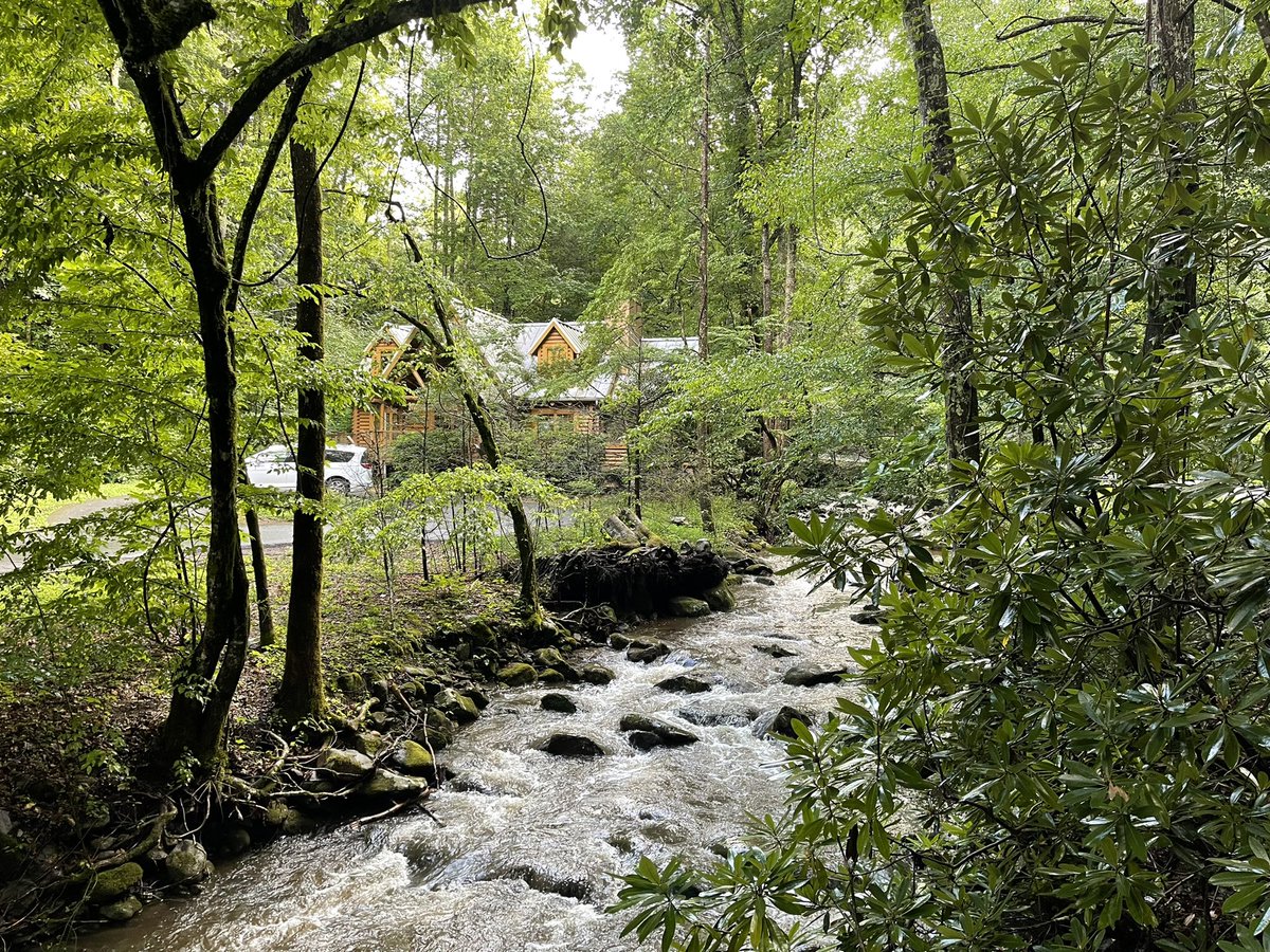 Dakota McIntosh tweet media