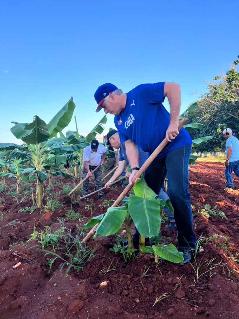 IsriUjc's tweet photo. #ListosParaEl26 | Arrancan las Jornadas Productivas con el @ISRICuba presente! 👨‍🌾🌴

Deshierbe 🌿, machete en mano y botas cubiertas de nuestra tierra colora’ 🥾, así enarbolamos los jóvenes la bandera de #CubaPorLaPaz 🇨🇺

#Verano2022 #CubaPorLaVida https://t.co/hrtlfb9h8Y