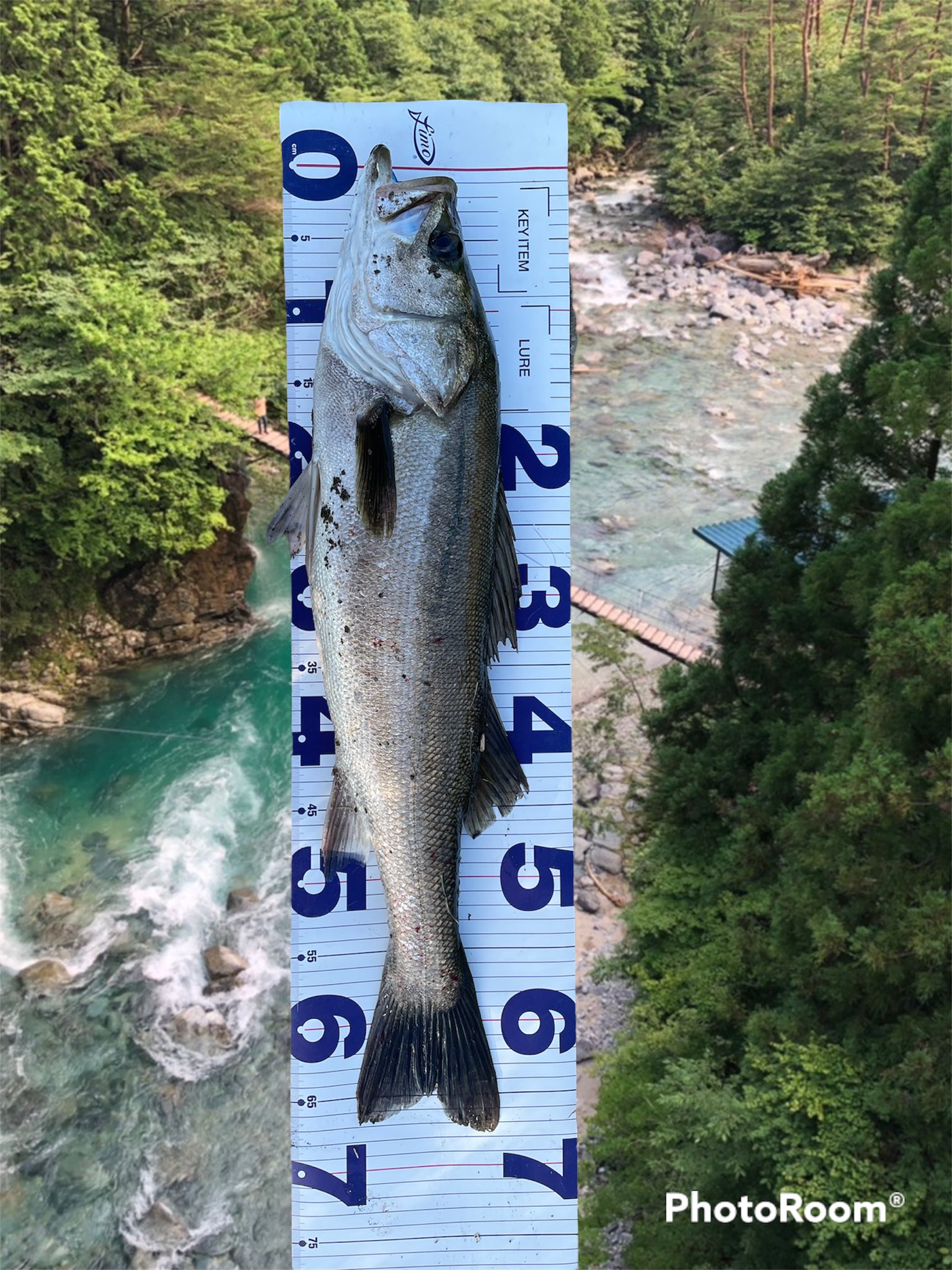 Blueblue ブルーブルー Bluebluefishing Twitter