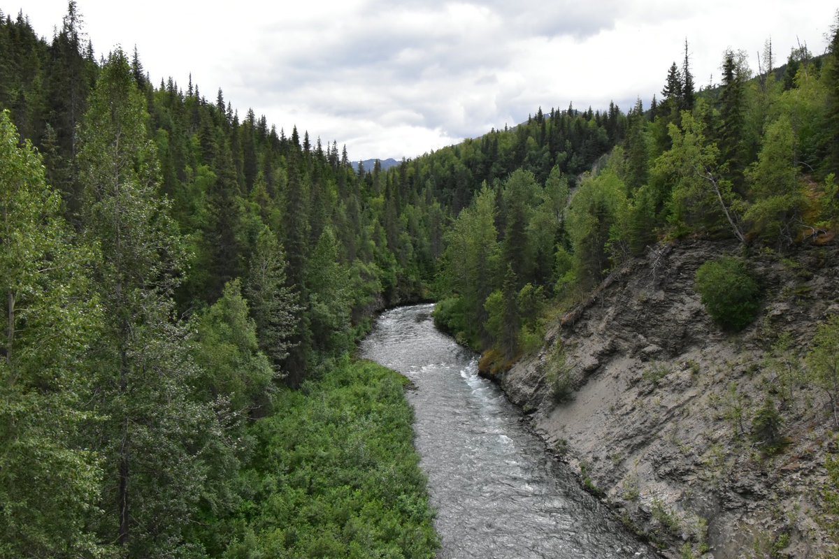 forcedtowipe's tweet photo. Hope, Alaska https://t.co/ccF2Rq8wpu
