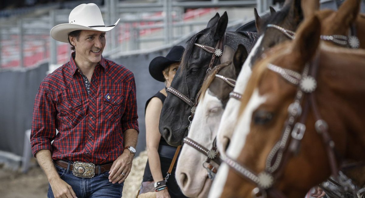 QuickDickMcDick 🇨🇦 tweet media