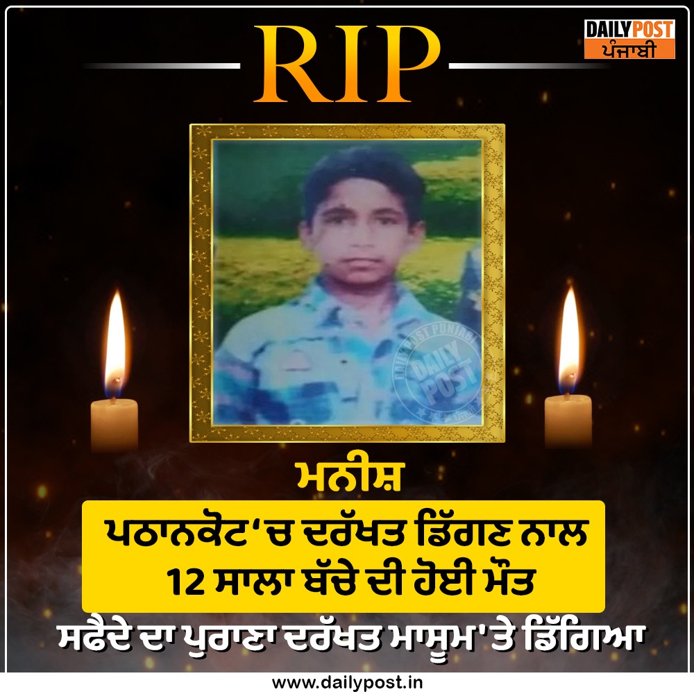 dailypostpunjab's tweet photo. ਪਠਾਨਕੋਟ ‘ਚ ਦਰੱਖਤ ਡਿੱਗਣ ਨਾਲ 12 ਸਾਲਾ ਬੱਚੇ ਦੀ ਹੋਈ ਮੌਤ

#Pathankot #Punjab #FallingTree #12YearsOld #Boy #Death #Dailypostpunjabi https://t.co/VyPXtdi2YM