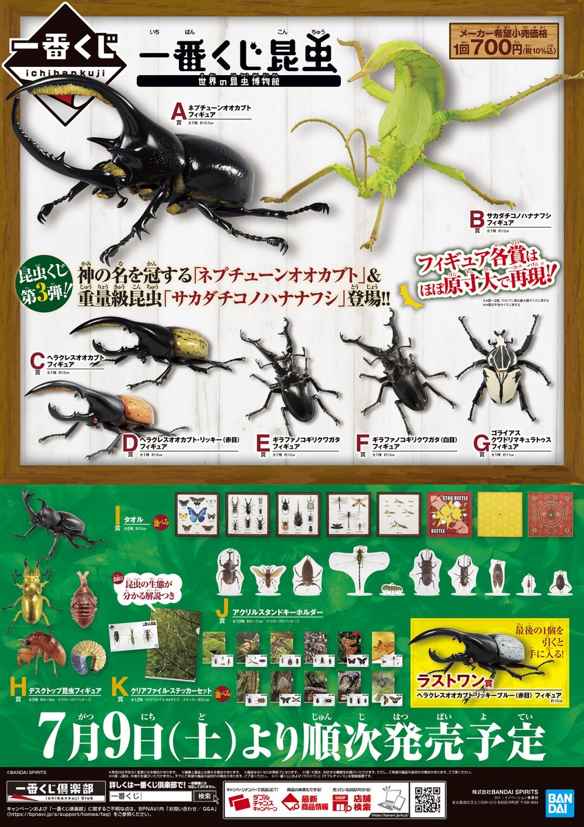 バラ売り可【新品未使用】昆虫 一番くじ 世界の昆虫 セット 好評販売中！／ 【#一番くじ昆虫 世界の昆虫博物館】 書店,ホビー