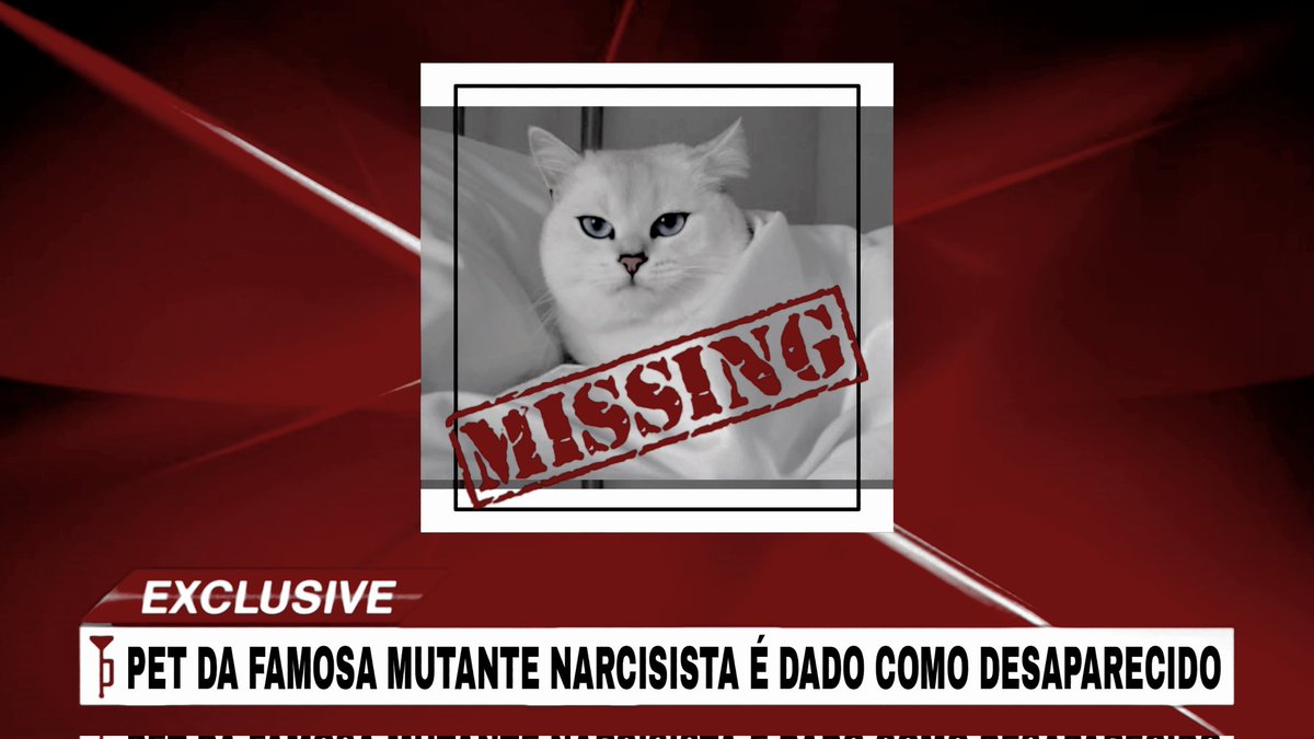 ㅤ
ㅤㅤ_ ` 📺📱› BREAKING NEWS : De acordo com o relato da mutante Emma Frost, o felino "Frostinho" não compareceu à sessão de massagem na tarde de hoje. A mulher suspeita que o sequestrador do gato seja a aterradora ameaça aracnídea, o Homem-Aranha. 
ㅤ