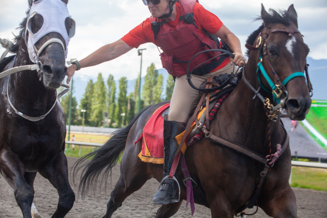 <a href="/PattiTubbs/">Patti Tubbs</a> terrific photo captures perfectly outrider <a href="/barrobycindy/">Cindy</a> 's amazing skills as she reels in BAKKEN OVERDRIVE <a href="/hastingsraces/">Hastings Racecourse</a> on Sunday. Great catch, Cindy!