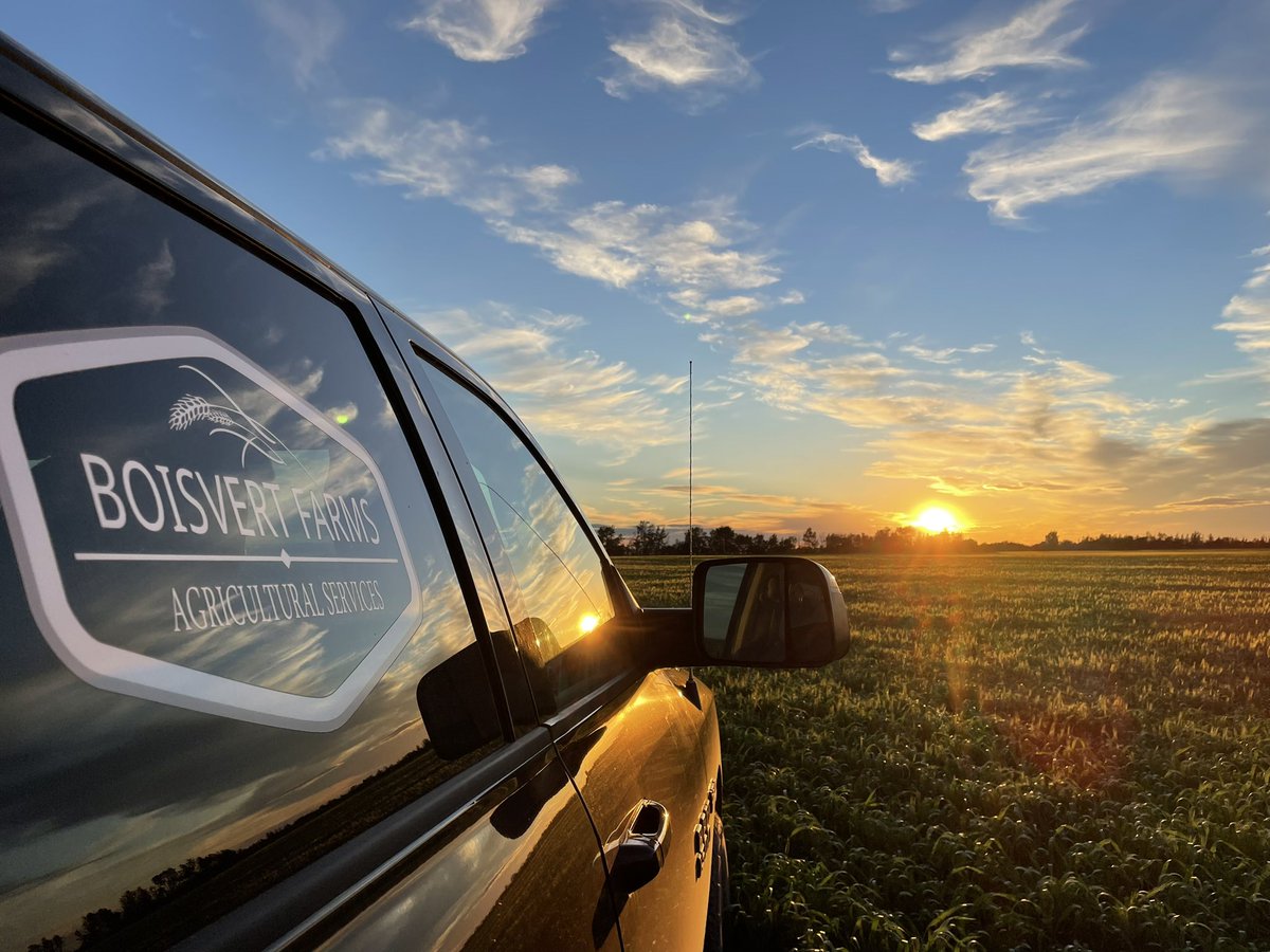 I guess there is one nice thing about scouting for wheat midge #scout2022 #wheatmidge #agronomy