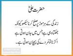 Hassan Ali (@hassana67532051) on Twitter photo 