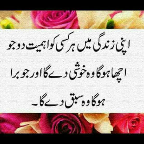 Hassan Ali (@hassana67532051) on Twitter photo 